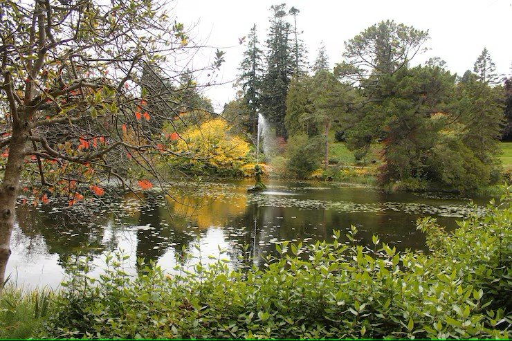 Chettiar Park Landscape